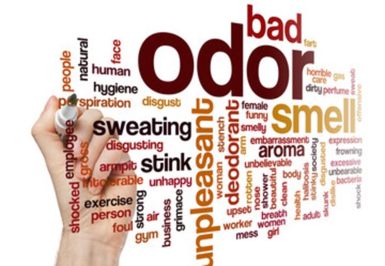 ABOUT ITCHING & ODOR
